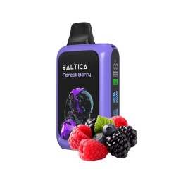 Saltica Cyber 18000 Kullan At